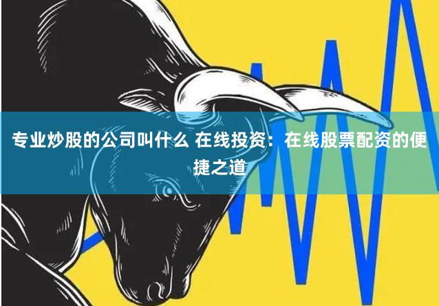 专业炒股的公司叫什么 在线投资：在线股票配资的便捷之道