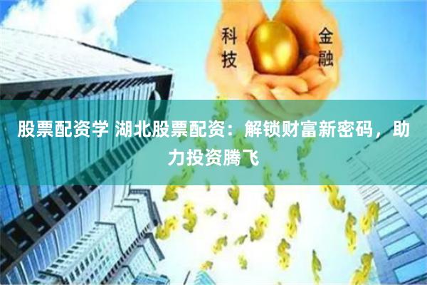 股票配资学 湖北股票配资：解锁财富新密码，助力投资腾飞