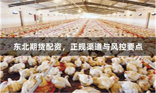 东北期货配资，正规渠道与风控要点